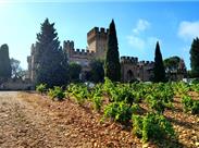 vinařství v Chateauneuf-du-Pape - Provence - Francie - poznávací zájezd