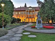 BARDĚJOVSKÉ KÚPELE & HOTEL OZÓN - Lázeňský hotel Alžběta- Bardějovské Kúpele - Slovensko - Relax pobyt